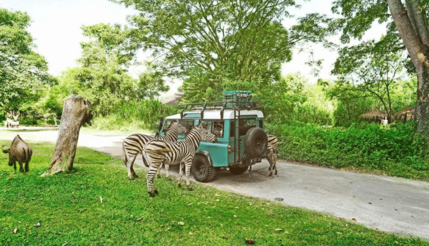 Bali Safari and Marine Park