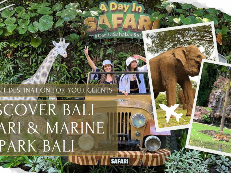 Discover Bali Safari & Marine Park Bali: A Must-Visit Destination for Your Clients