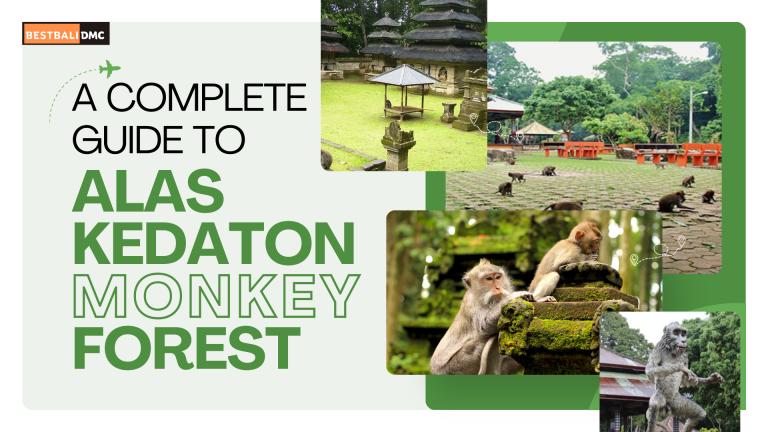 A B2B DMC Guide to the Enchanting Alas Kedaton Monkey Forest