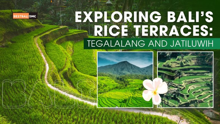 Exploring Bali’s Rice Terraces: Tegalalang and Jatiluwih