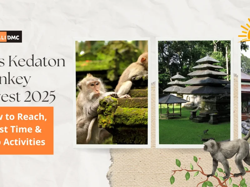 Alas Kedaton Monkey Forest 2025